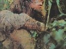 JOHN MAYALL BLUES BREAKERS-Blues From Laurel Canyon (1968 ORIG Press LP)