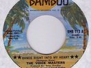 Killer 70's Soul (Hear) THE VOICE MASTERS 