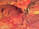 MIDNIGHT OIL LP FULLY SIGNED BY THE BAND  RARE OZ  CERTIFICATE OF AUTHENTICITY