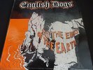 English Dogs 