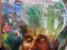 AMORPHOUS ANDROGYNOUS - Wizards Of Oz - 2LP - 2015 RSD Record Store Day