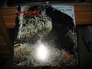 BIGFOOT Abominable Snowman Don Jones Ray Wallace Bigfoot's Scream SEALED