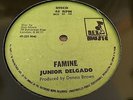 Junior Delgado Famime Rare Killer Roots 12