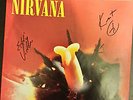 NIRVANA IN BLOOM 7