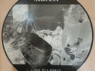 NIRVANA Bleach Picture LP Vinyl, Nevermind, Foo Fighters, In Utero, Kurt Cobain