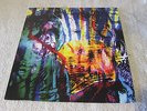 Terrestrial Tones - Dead Drunk -  2006 Original - Near Mint Animal Collective
