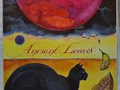 Michael Stearns Ancient Leaves LP NM Synth Private New Age Progressive Cosmic