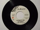 MINTY RARE 1966 DJ PROMO GARAGE 45  THE SPARKLES  NO FRIEND OF MINE  HICKORY
