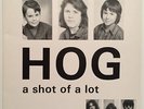 HOG A Shot Of A Lot RARE swedish punk LP private press FEW KNOWN powerpop kbd