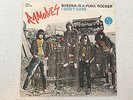 Ramones Sheena Is A Punk Rocker 7