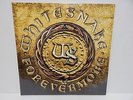 SEALED WHITESNAKE FOREVER MORE VINYL RECORD LP 2011