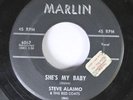Hear Rockabilly 45 Steve Alaimo & The Red Coats - She'S My Baby / Should I Care