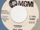 DAVY JONES OF MONKEES-SUNSHINE BUBBLEGUM