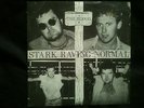 THE BLOOD-STARK RAVING NORMAL.PUNK OI SKINHEAD NO FUTERE BLITZ GONADS BUSINESS