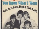 DAVE DEE, DOZY, BEAKY, MICK &TICH    HOLD ON TIGHT       YOU KNOW WHAT I WANT