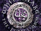 The Purple Album [2 LP] by Whitesnake [ Format: Vinyl ] New Free Shipping.....