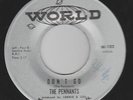 1961 DOO WOP- THE PENNANTS-Don't Go /Workin Man-WORLD # 102-THEIR ONLY 45rpm