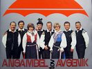 DLP / ANSAMBEL BRATOV AVSENIK / RARITÄT /