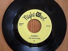 TEEN ROCK Blue Eyed SOUL - The EXCEPTIONS Nitty Gritty / Candy NIGHT OWL