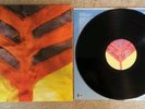 Yeah Yeah Yeahs   Show Your Bones Vinyl LP  Interscope B00006337-01   2006