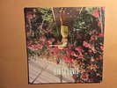 WOLF ALICE - GIANT PEACH  - 7