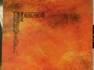 And You Will Know Us By The Trail Of Dead Interscope Source Tags Codes Vinyl LP