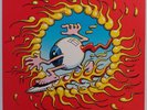 CHRIS DARROW/MAX BUDA: Eye of Storm RICK GRIFFIN grateful dead ART vinyl LP