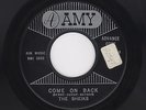 '60 Twin Spin DooWop SHEIKS Come On Back/Please Don't Take Away Girl AMY M- HEAR