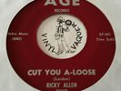 Northern Soul US 45 RICKY ALLEN Cut You A-Loose AGE (USA, 1963)