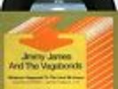JIMMY JAMES & THE VAGABONDS Whatever Happened To The Love We Knew 45/PROMO