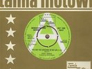 Stevie Wonder - You Are The Sunshine Of My Life - Tamla Motown Demo TMG 852 Soul