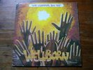 WELLBORN WE GONNA DO IT LP PRIVATE AFRO PSYCH COSMIC DISCO BOOGIE MONSTER ??