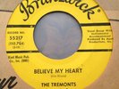 RARE TREMONTS Believe In My Heart BRUNSWICK DOO WOP 45 NM