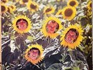 SUNNYBOYS Individuals Oz Gatefold LP MINT 1982