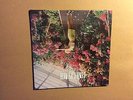 WOLF ALICE - GIANT PEACH  - 7