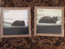 Blacklisted Test Press And Rejected Test Press When People Grow People Go