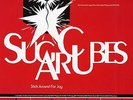 Sugarcubes Stick Around for Joy Uk Vinyl Lp Original