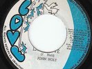 John Holt - Lady Love - WICKED