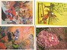 THE B-52'S POLISH POSTCARD RECORDS 45RPM..RARE ITEMS 4 ITEMS