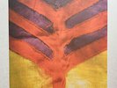 YEAH YEAH YEAHS - SHOW YOUR BONES * VINYL LP LTD * MINT * FREE POSTAGE IN UK *