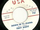 DOO WOP 45 by TROY SCOTT & GROUP ( THE NEWPORT QUARTET ) RARE U.S.A. LABEL # 721