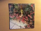 WOLF ALICE - GIANT PEACH  - 7