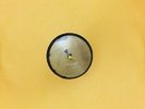 ELVIS PRESLEY My Happiness (78 RPM) Third Man RSD 2015 10