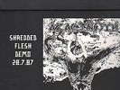 TERRORIZER - nightmares demo / AZAGTHOTH - shredded flesh LP