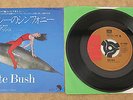 Kate Bush SYMPHONY IN BLUE / FULL HOUSE (RARE DOLPHIN)  Rare Japan 7