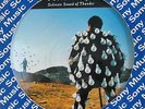 Pink Floyd Delicate Sound of Thunder LP Picture Disc PROMO 1987 Brazil Only