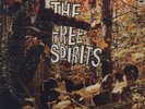 The Free Spirits-Out Of Sight And Sound  ABC-S 593 original pressing