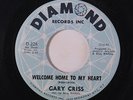 GARY CRISS: Welcome Home To My Heart / Hands Off Buddy 45 rare Soul