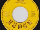 Scott WILLIAMS he is gone 45 unknown PSYCH FUNK private ACID FOLK breaks HEAR ??