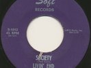 LIVIN' END on Soft —THE WORLD'S GOIN' ROUND— 60s texas garage 45 | RARE | LISTEN